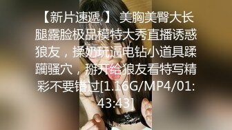 和极品淫荡骚浪女友激情玩车震爆操内射 淫语浪叫