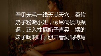 [带验证]女友和水晶震动小软棒