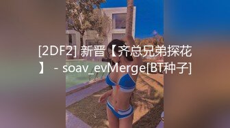 -麻豆传媒映MMZ-015  老板的母狗调教 变装保姆的性爱养成-白若冰