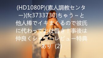 パコパコママ 021320_255 乳首が卑猥な人妻の浮気タイム