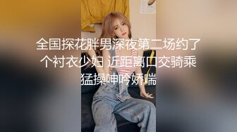 赵探花10-08黑丝轻熟女