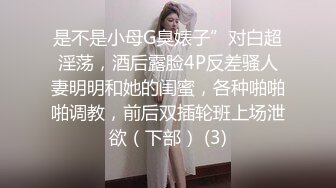 麻豆传媒 MPG005 解决巨乳阿姨的性烦恼 夏晴子