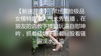 大奶老婆第一二季